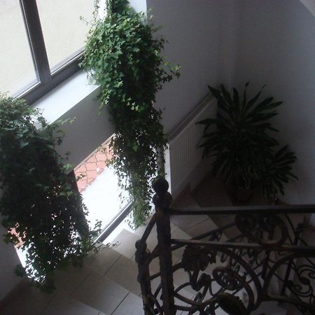 Villa Edera Residence - Gazda Profesionista Букурещ Екстериор снимка