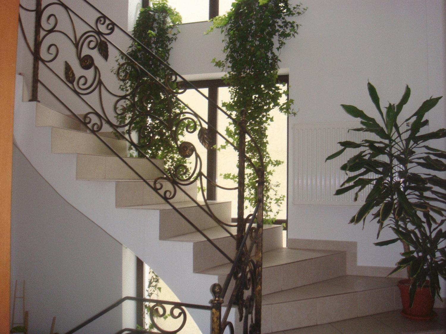Villa Edera Residence - Gazda Profesionista Букурещ Екстериор снимка